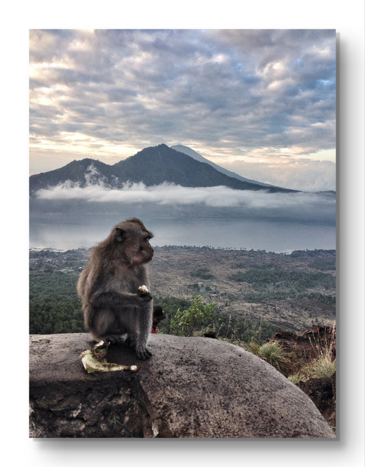 #PRINT - "Monkey on Volcano"